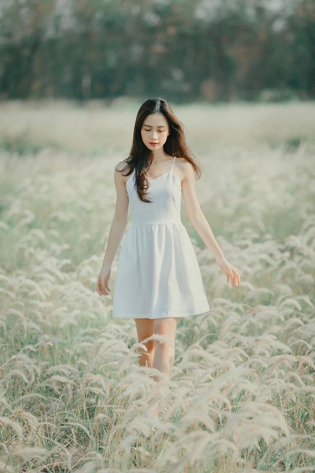请君入我